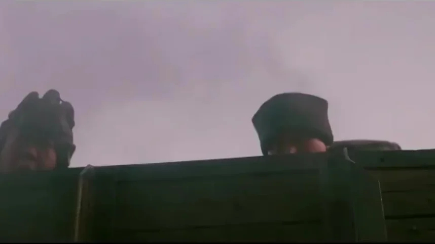 Железнодорожные тигры