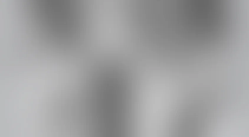 Слуга двух господ