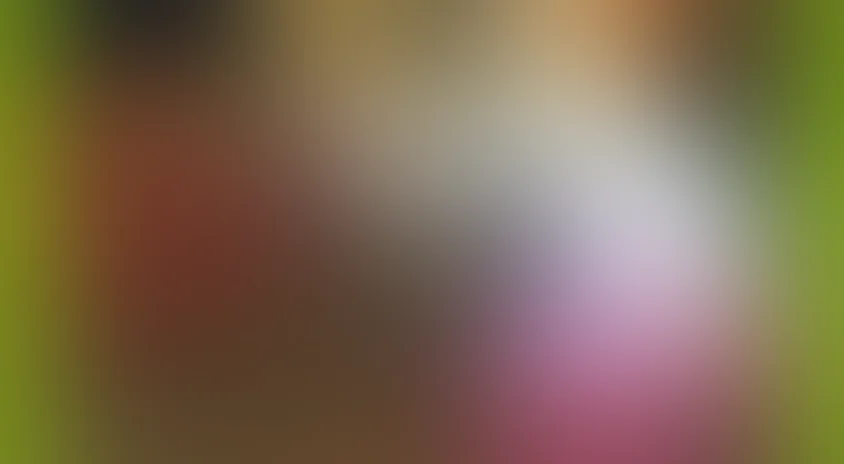 Глаша и Кикимора