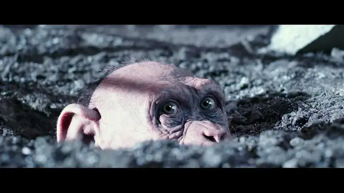 Плохая обезьяна (английский язык)