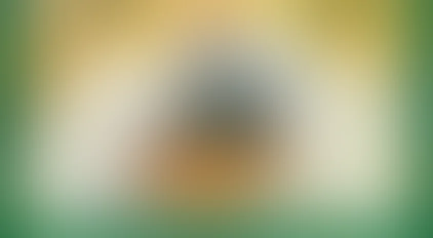 Приключения кузнечика Кузи