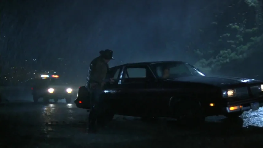 Незаконченная жизнь