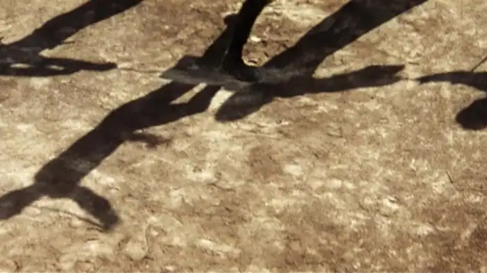 Трейлер (английский язык)