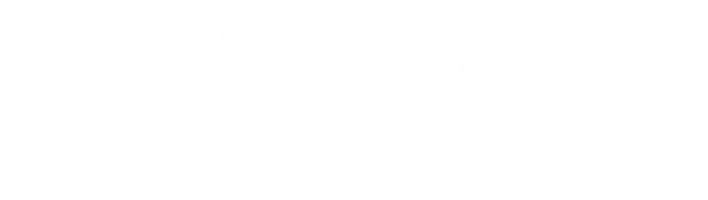 Госпожа Инкогнито