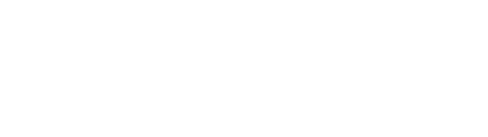 Госпожа Инкогнито 1 сезон 1 серия