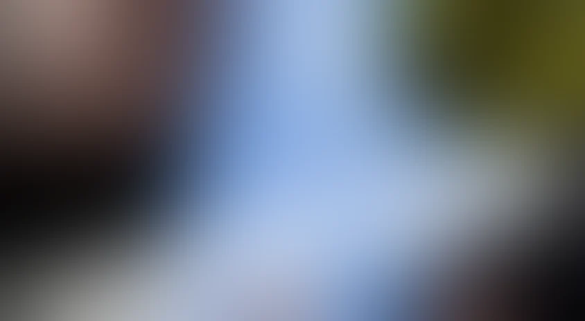 Savoyaning o'g'irlanishi