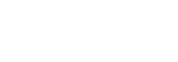 Victoria’s Secret. Империя ангелов. Елизавета Карагозова