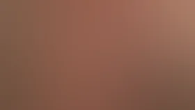 Развод Надера и Симин