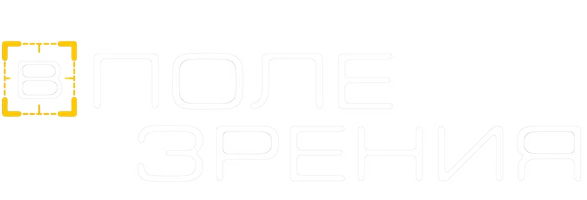 В поле зрения