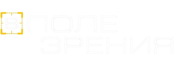 В поле зрения