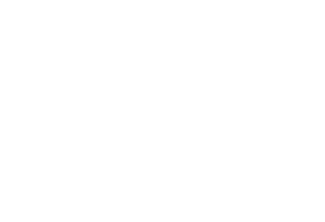 Паук (фильм 2002)