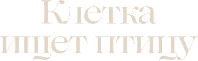 Фильм Клетка ищет птицу смотреть онлайн