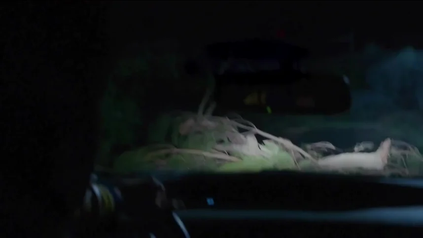 Бобры-зомби