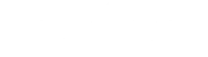 Концерт в Южной Корее. Видеожурнал «СУП». Сергей Орлов