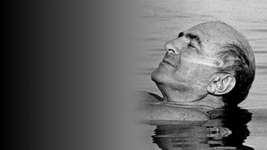 Березовский, это кто?