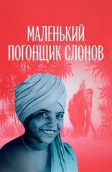 Маленький погонщик слонов