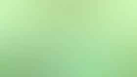 Мы идем по лесу