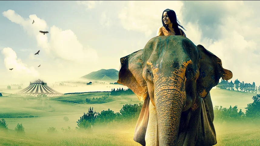 Побег с Фионой