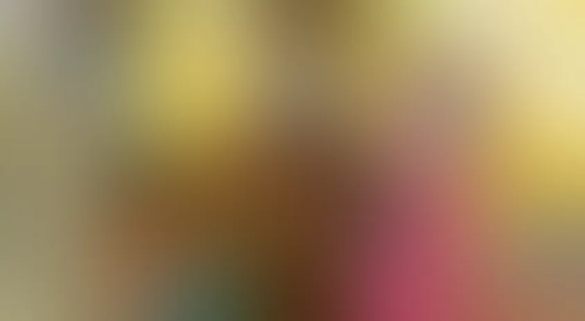 Вокруг света за 80 дней с Вилли Фогом