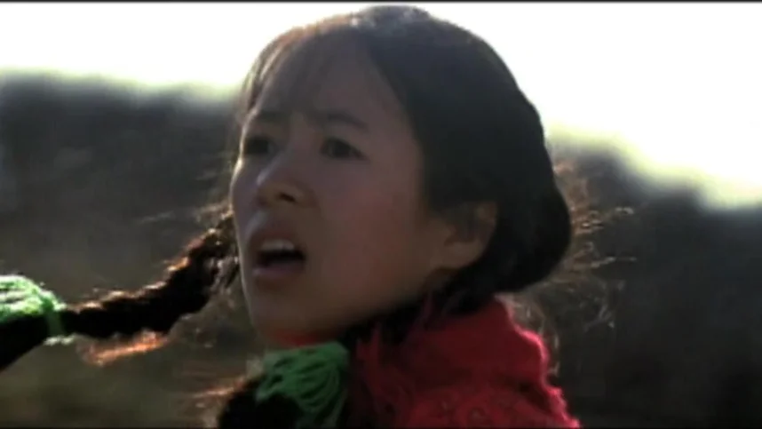 Дорога домой