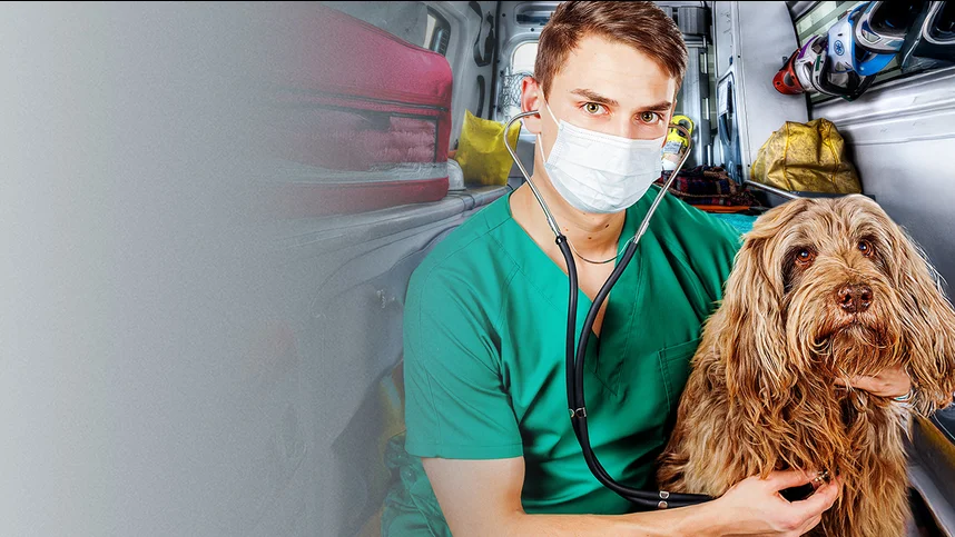 Скорая помощь для зверят