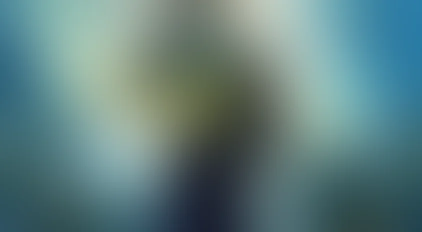 Артемис Фаул