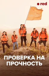 Проверка на прочность