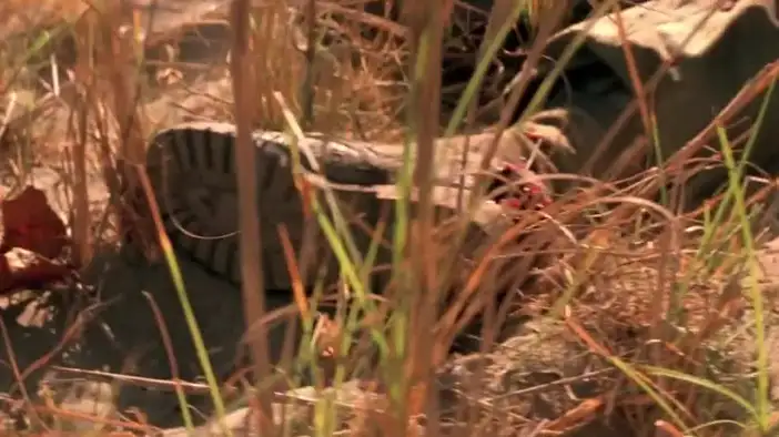 Фрагмент (английский язык)