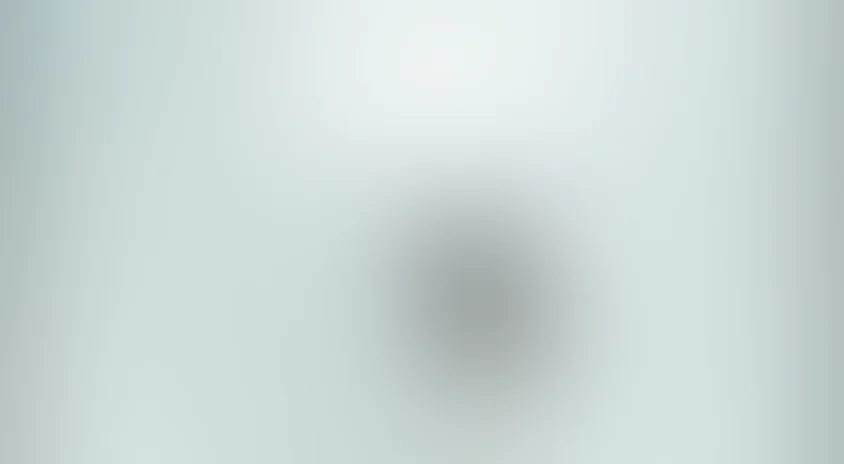 Белая птица в метели