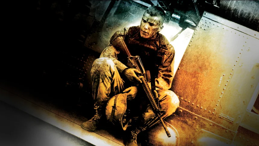 Черный ястреб