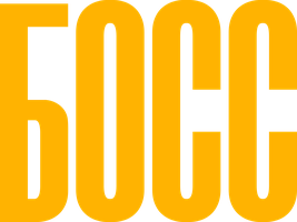 Босс (Фильм, 2024)