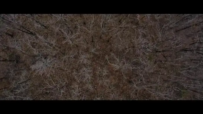 Трейлер (английский язык)