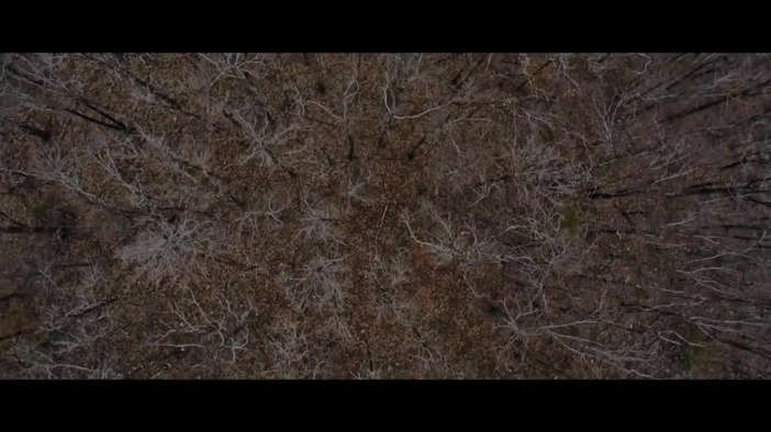 Трейлер (английский язык)