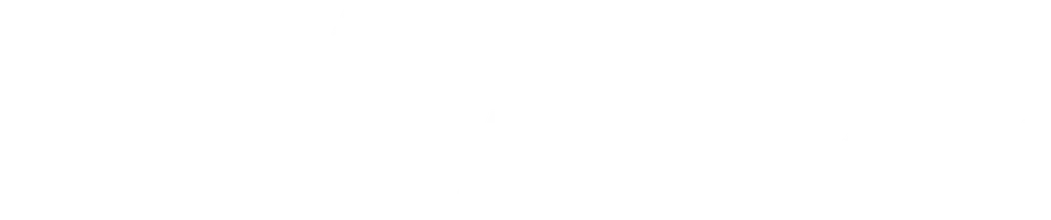 Душа Америки (2020)