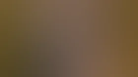 Свидетель обвинения