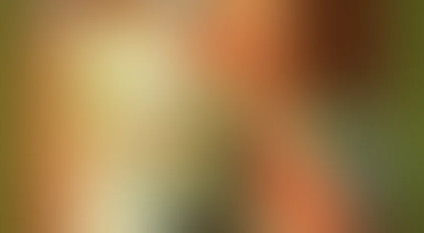 Лиса Патрикеевна