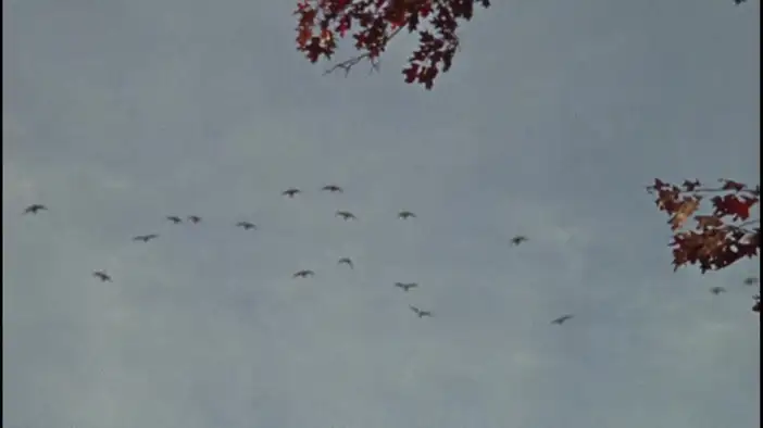 Фрагмент (дублированный)