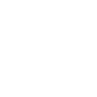 Scream