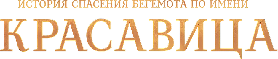 Фильм Красавица смотреть онлайн