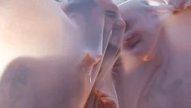 Ворон: Ночной шепот