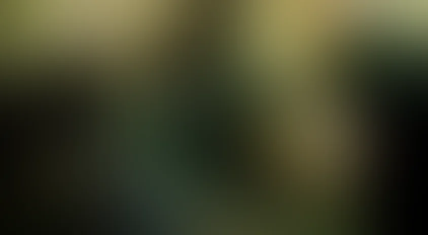 [4k] Гарри Поттер и Дары Смерти: Часть I