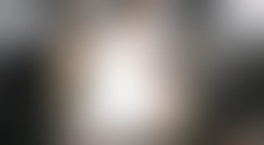 Бритоголовые (Скины)