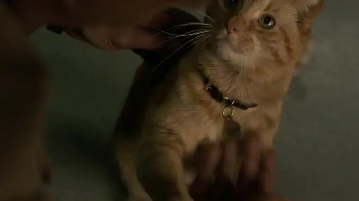 Трейлер (дублированный)