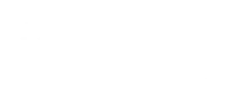 Русская модель управления (movie, 2025)