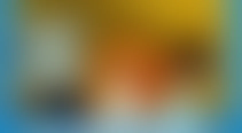 Он попался!