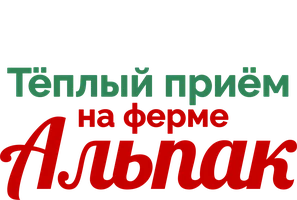 Тёплый приём на ферме альпак