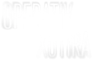 Operativ xotira