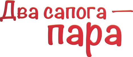 Два сапога - пара (Сериал, 2017)