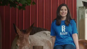 Каникулы в конном лагере