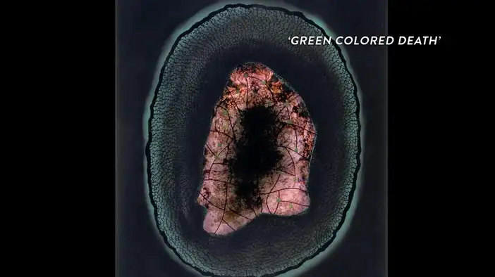 Фрагмент 5 (английский язык)